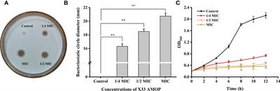 Physiological and transcriptome analysis of Candida albicans in response to X33 antimicrobial oligopeptide treatment